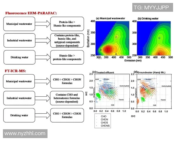 足球贴士：提升你的比赛分析能力与投注技巧的全面指南