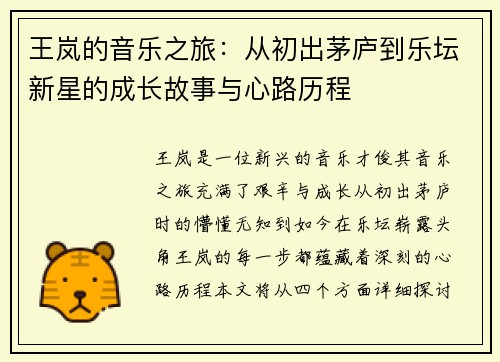 王岚的音乐之旅：从初出茅庐到乐坛新星的成长故事与心路历程